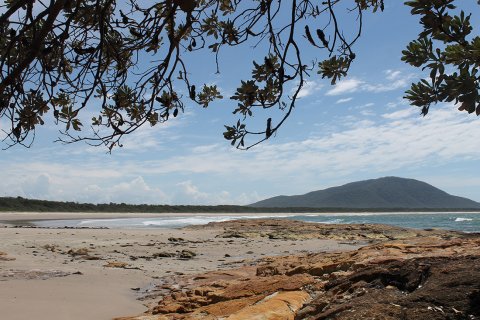 Port Macquarie Region NSW Beaches Australia