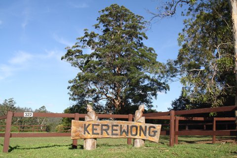 Kerewong Horse Riding Farm Holiday Adventures Mid North Coast NSW Australia