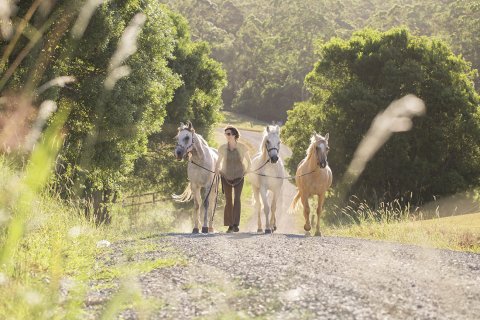 Tour Guide And Horses - Adventure Horse Riding NSW Country Trail Riding Holidays Australia