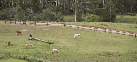 NSW Horse Riding Holiday Farm Adventure Tours Australia