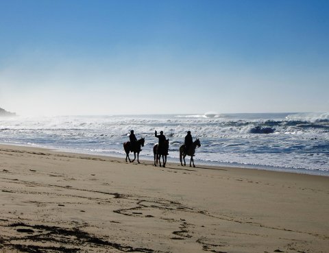 Beach Horse Riding Mid North Coast NSW - Horse Treks Australia