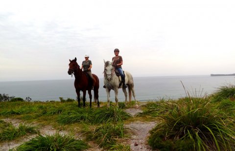 Early Morning Headland Ride With Southern Cross Horse Treks NSW Australia