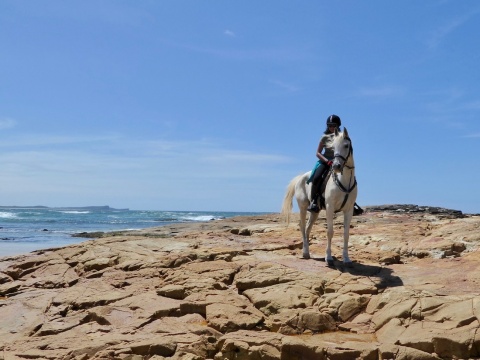 Beach Horse Riding Australia Horseback Riding Holidays