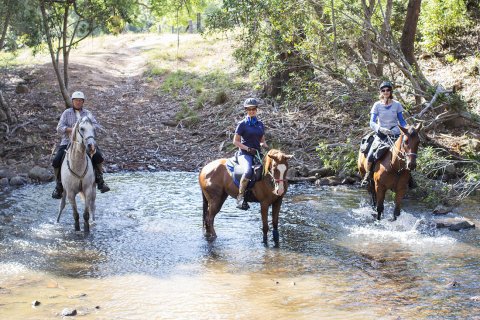 Creek Crossing Small Group Horse Riding Holiday Tours NSW Australia