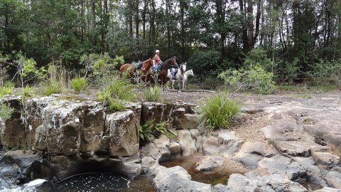 Variety of Terrains Experienced Horseback Treks Australia