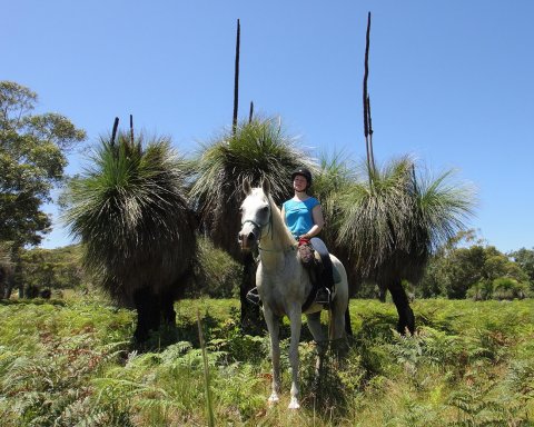 Horse Treks Australia Experience Bush And Beach Horse Riding NSW