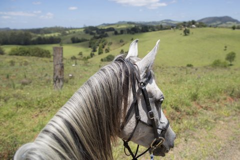 View Of Comboyne Plateau From Horseback Mid North Coast Hinterland NSW Australia
