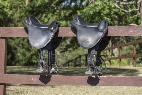 Australian Made Mackinder Endurance Saddles - For Horse And Rider Comfort