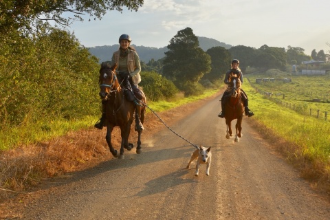 Horse Riding Through Australian Countryside NSW 