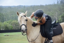 Austraian Brumby Horse Riding Holidays
