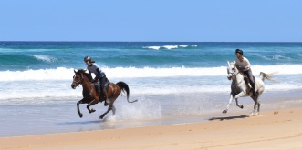Adventures Horse Beach Holidays Australia NSW