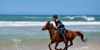 Beach Gallop Horse Riding Adventures