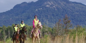 Endurance Horse Riders NSW Australia PC: Animal Focus