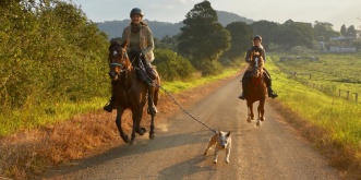 Horse Riding Through Australian Countryside NSW 
