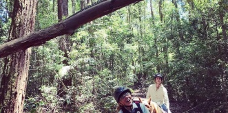 Australian Rain Forest Horse Riding Tours