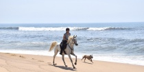 Dream Horse Beach Riding Holidays