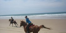 Horse Riding Port Macquarie Beaches NSW - Horse Treks Australia