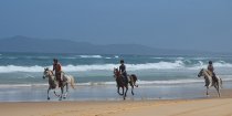 Horse Riding Port Macquarie Beaches NSW Australia For Experienced Riders