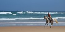 Horse Riding On The Beach North East Coast NSW - Horse Treks Australia