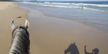 Horse Riding Australia Endless Pacific Ocean Beach NSW - Horsetreks Holidays