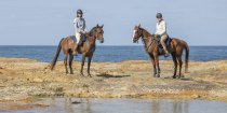 Australian Horse Holidays NSW Mid North Coast On Arabian Horses