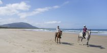 Beach Horse Riding Australia NSW - Southern Cross Horse Treks Australia