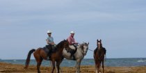 Horse Riding Holidays Port Macquarie Beaches NSW - Horse Treks Australia