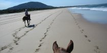 Long Sandy Empty NSW Beaches For Horse Riding Australia Pacific Ocean Coastline