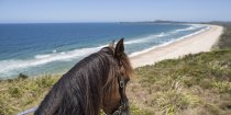 Horse Riding To The Headland NSW - Beach Horse Treks Australia