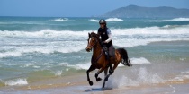 Horse Riding On The Beach Australia NSW