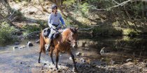 Horse Riding Adventure Tours Horse Treks Australia NSW North Coast