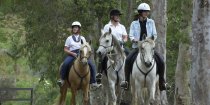 Australian Horse Riding Holidays Southern Cross Horse Treks NSW