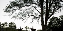 Sillouette Horse Riders Port Macquarie NSW Australia