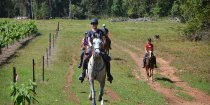 Horse Riding Tour Port Macquarie Hinterland From Lorne Valley To Bago Vineyards NSW Australia