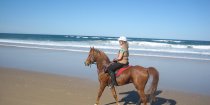 Kamal - Horse Riding Port Macquarie Beaches NSW - Horse Treks Australia