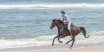 Kuta - Southern Cross Horse Treks Australia Endurance Horse Riding Port Macquarie NSW