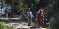 Horse Trekking Holidays For Experienced Horse Riders NSW Australia