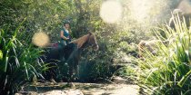 NSW Mid North Coast Forest Horse Riding
