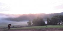 Fog Rolling In At Winter Sunset NSW Hinterland