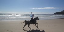 Happy Horse Rider Wave Cantering On The Beach Ride East Coast Australia