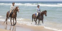 Horse Riding Holidays Experienced Riders Beaches NSW - Horse Treks Australia