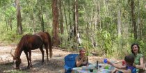 Australian Bush Horse Rider Picnic NSW - Southern Cross Horse Treks Holidays