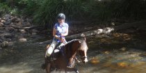 Horse Riding Fun Creek Crossing NSW Horse Tours Australia
