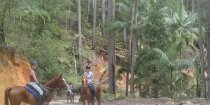 Horse Riding Holiday Tours For Experienced Riders Australia NSW Port Macquarie Hinterland