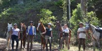 Small Group Intermediate To Advanced Riders Horse Treks NSW North Coast North Of Sydney Australia