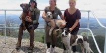Australian Horse Riding Tours Team With Dogs