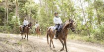 Horse Riding Downhill Trails Horse Treks Australia NSW Adventure Tours