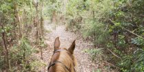 Discover Great Trails Horseriding Adventure Holidays NSW Australia