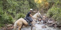 Finesse (Ness) - Creek Crossing Horseback Riding Tours NSW Australia