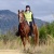 Endurance Trained Trekking Horses